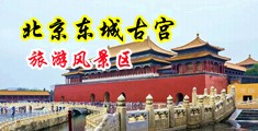 美女又紧又爽免费视频中国北京-东城古宫旅游风景区